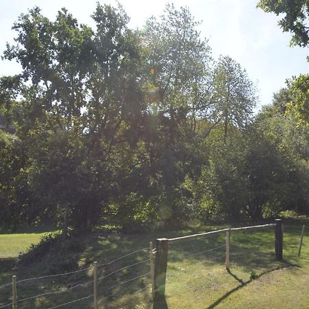 Alte Schule 3, Urlaub Wo Einst Die Dorfschule War Kall Bagian luar foto